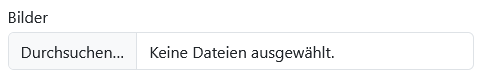 Bild hochladen
